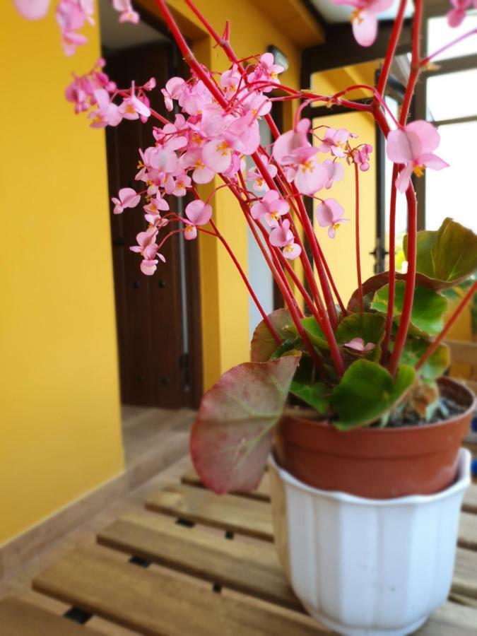 Bilona - La Colina Apartment Arnuero Luaran gambar